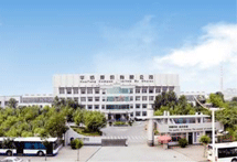 hjc888黄金城股份有限公司